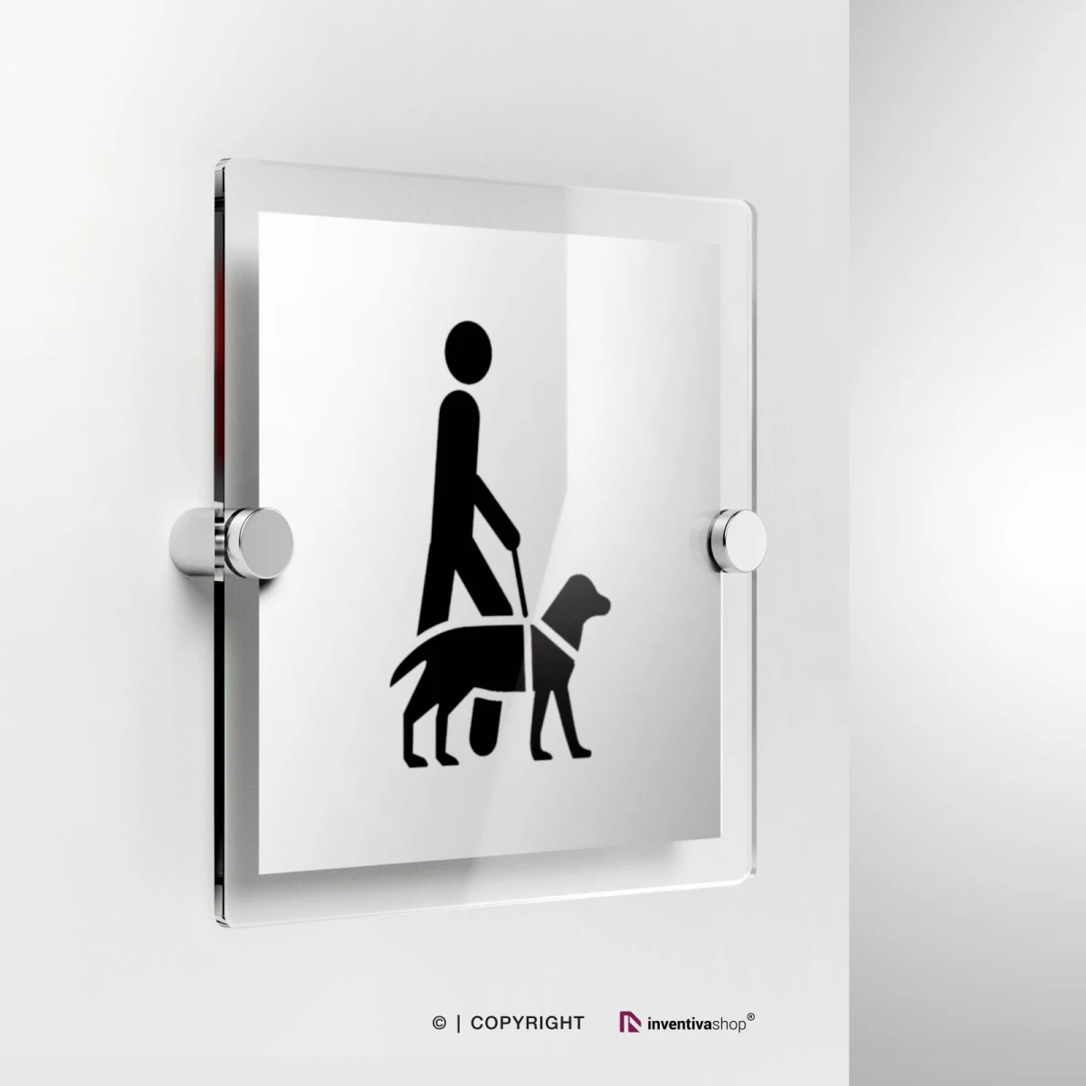 Cartello accesso consentito ai cani d'assistenza in plexiglass con fissaggio a parete