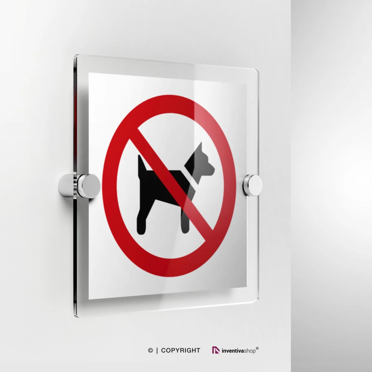 Cartello vietato l'accesso ai cani P021 in plexiglass con fissaggio a parete