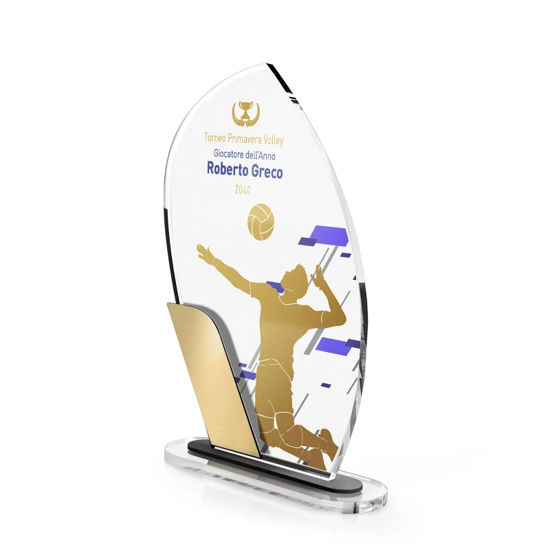 Trofeo premiazione Pallavololista