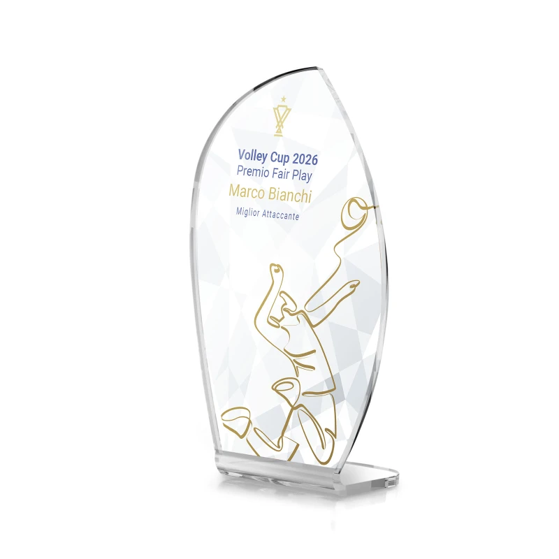 Trofeo miglior pallavolista