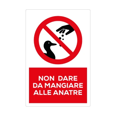 Non dare da mangiare alle anatre