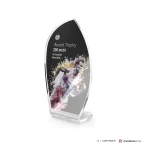 Trofeo linea Vela