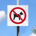 Cartello vietato l'accesso ai cani P021