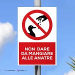 Cartello non dare da mangiare alle anatre con testo mod. verticale